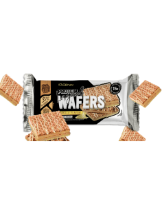 PROTEIN LAYERED WAFERS 2