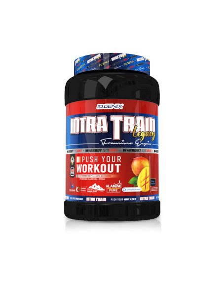 INTRA TRAIN LEGACY 1005G