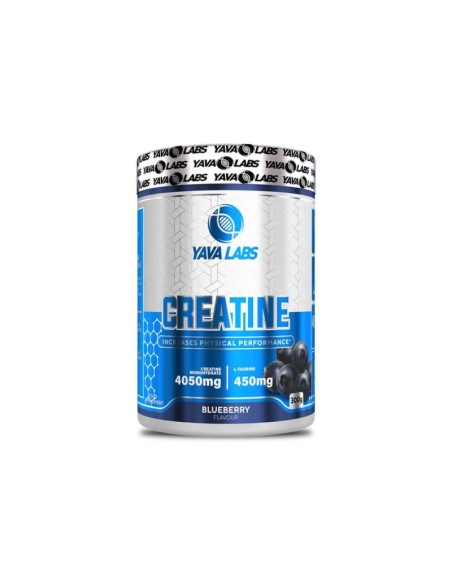 CREATINE WITH FLAVOUR - 300G